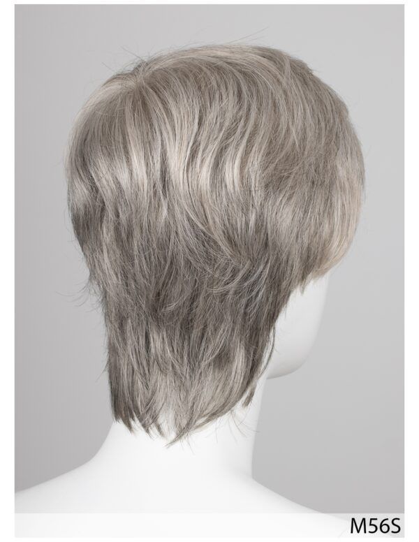 ROGER 5 STARS Men's Synthetic Wig