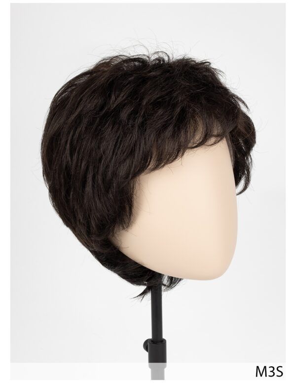 Men's Synthetic Wig JUSTIN 2.0